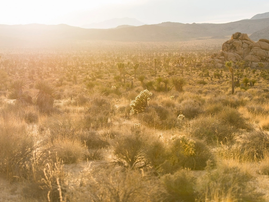 Vacant Lots in Mesa